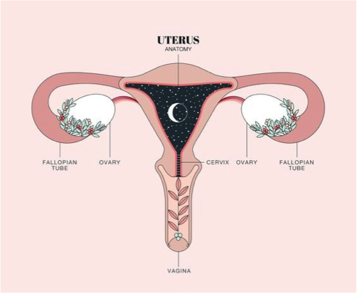 uterus-troubles-fertilite