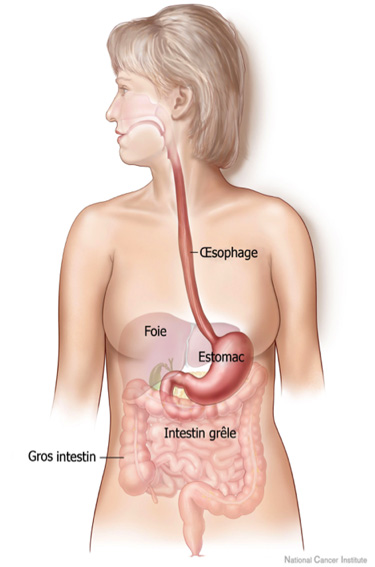 femme-enceinte-constipée