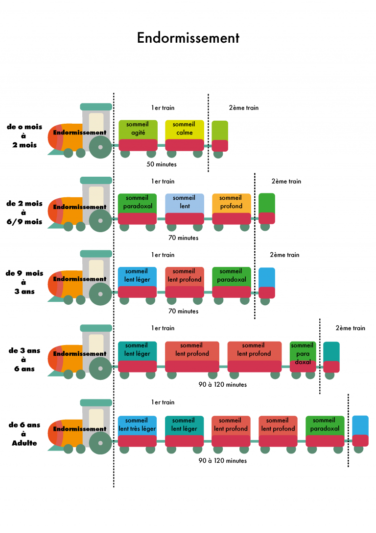 Le Train Du Sommeil Adulte – Décodez le train du sommeil pour booster ...